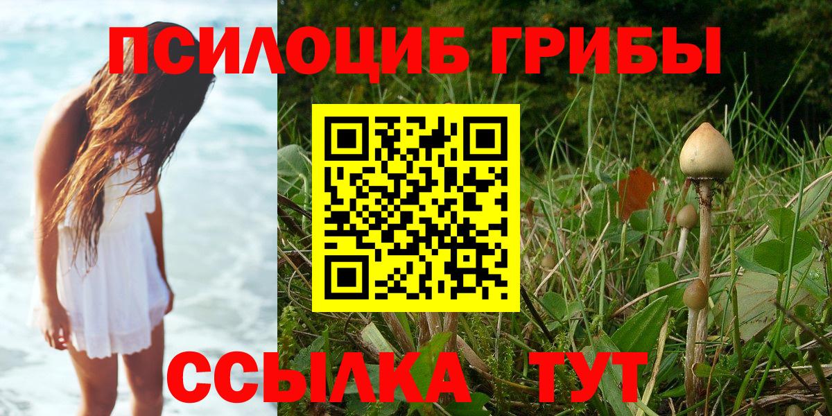 Галлюциногенные грибы MAGIC MUSHROOMS  Вход с VPN  Сергиев Посад 
