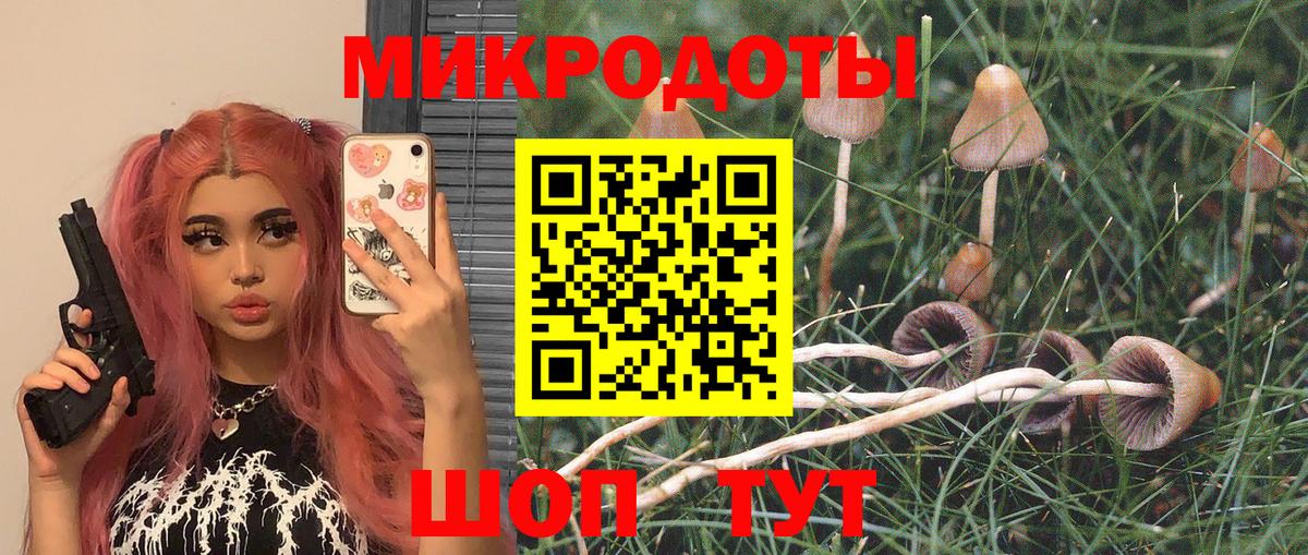Галлюциногенные грибы Magic Shrooms Сергиев Посад